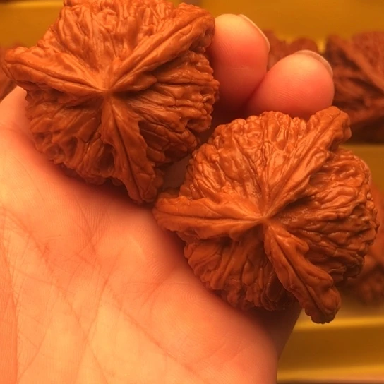 核桃核桃核桃核桃核桃核桃