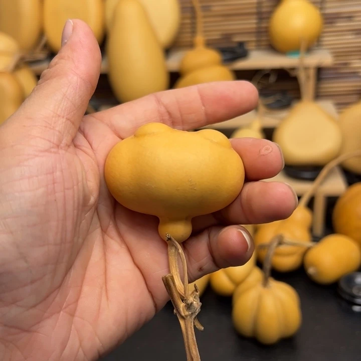 N**c15555866655665566699