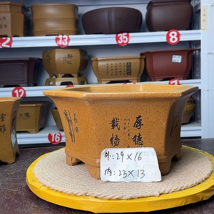 花盆紫砂蛇年大吉