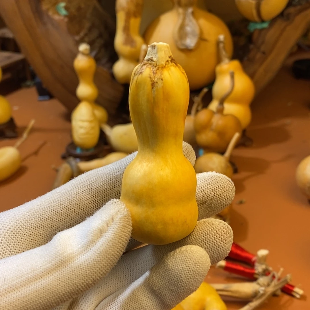 教练教练教练咯哦哦咯