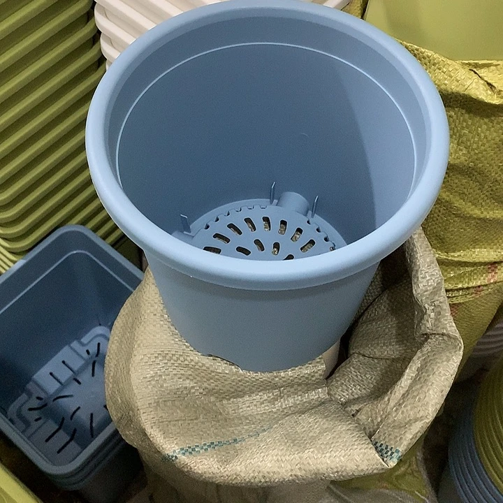 四季口22高20蓝3个无托