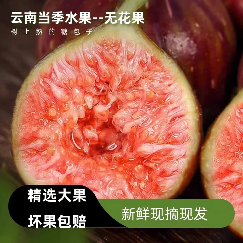 云南无花果新鲜现摘现发软糯香甜树上的糖包子孕妇水果