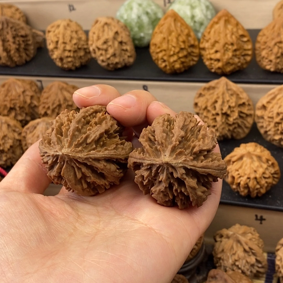 文玩核桃把件霸王花40