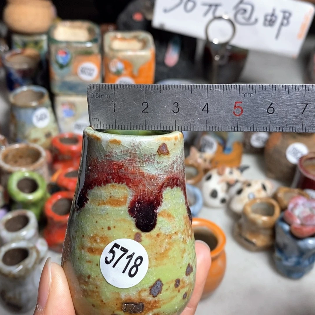 花盆拍5送一个小礼物