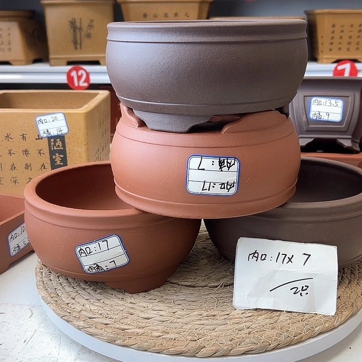 紫砂花盆蛇年大吉