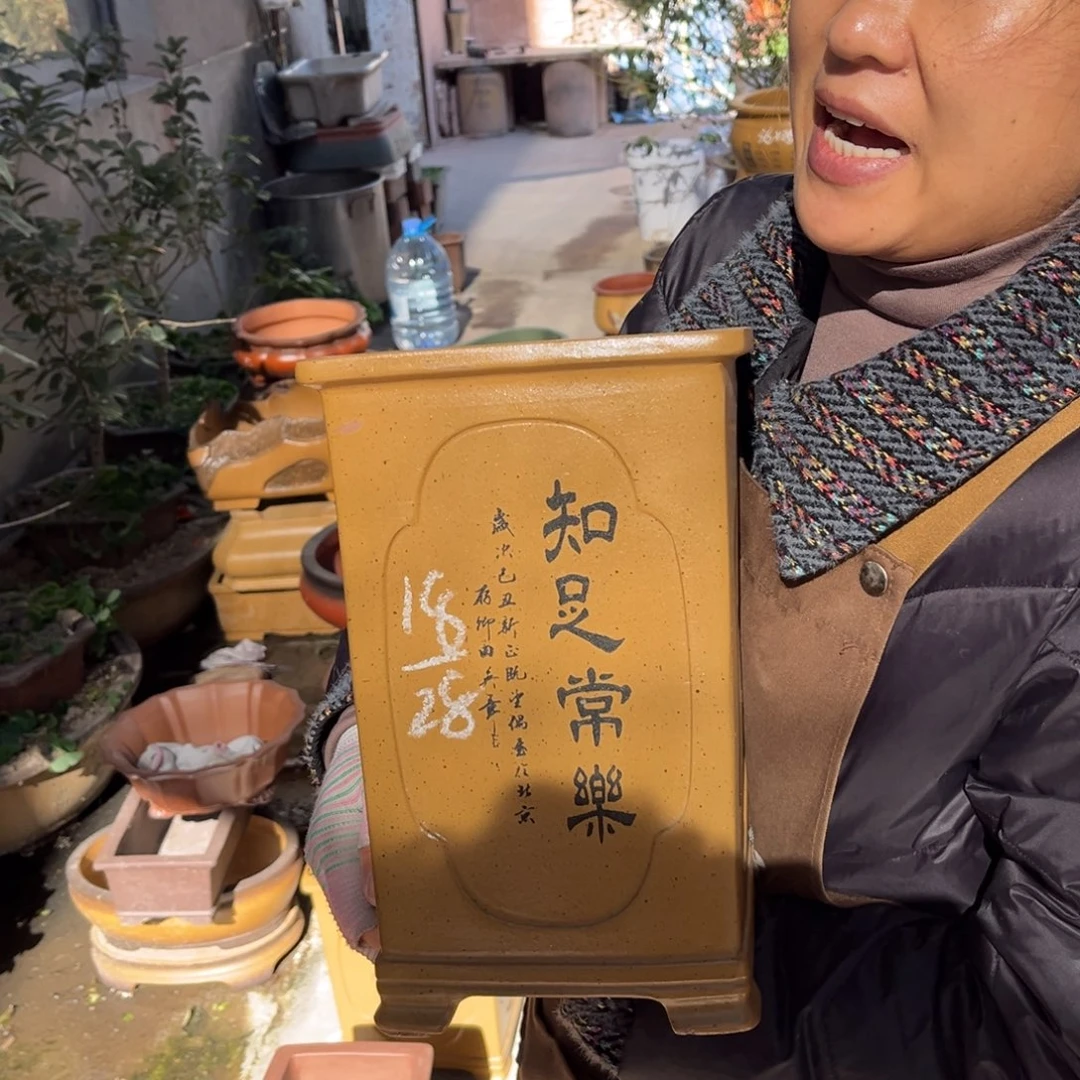 花盆紫砂盆景艺术