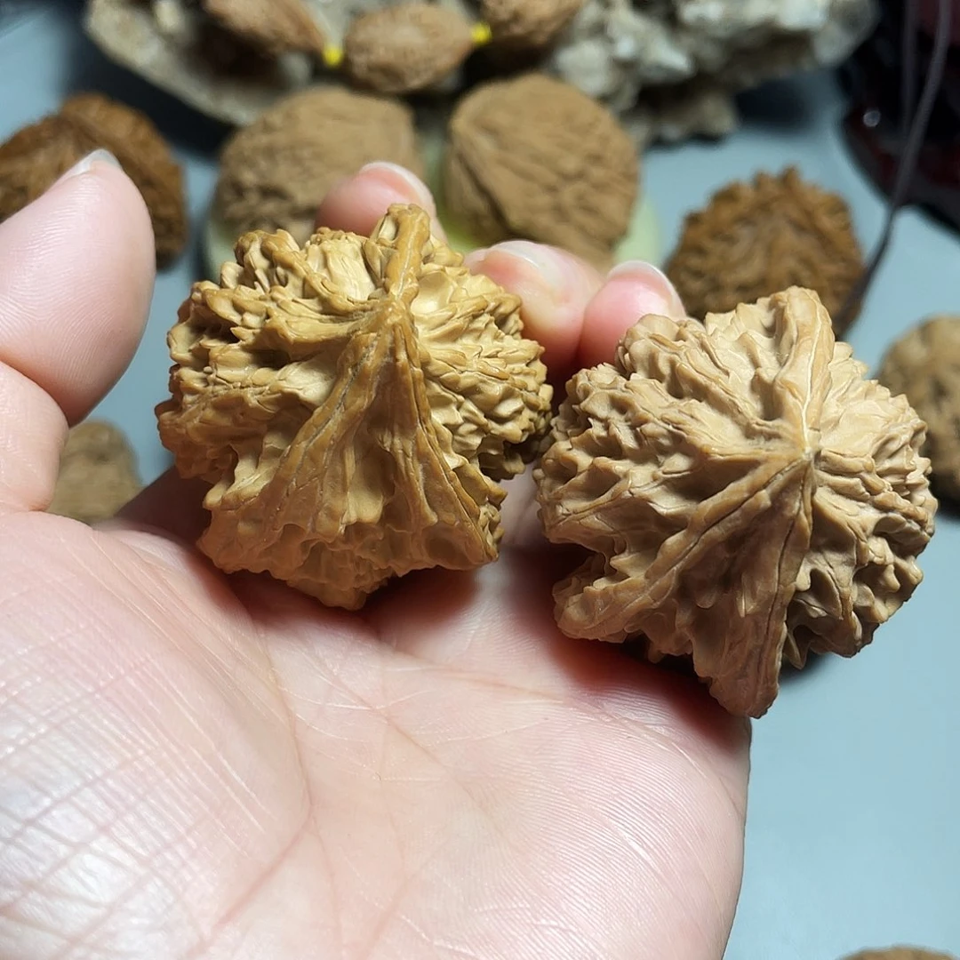 核桃手串/手链精品帝王人奔