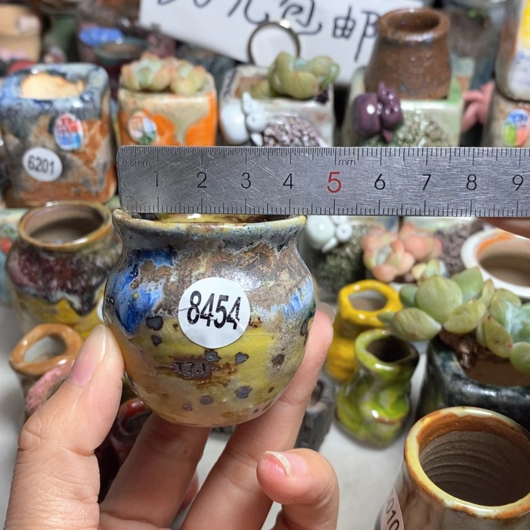 拍5送一个小礼物