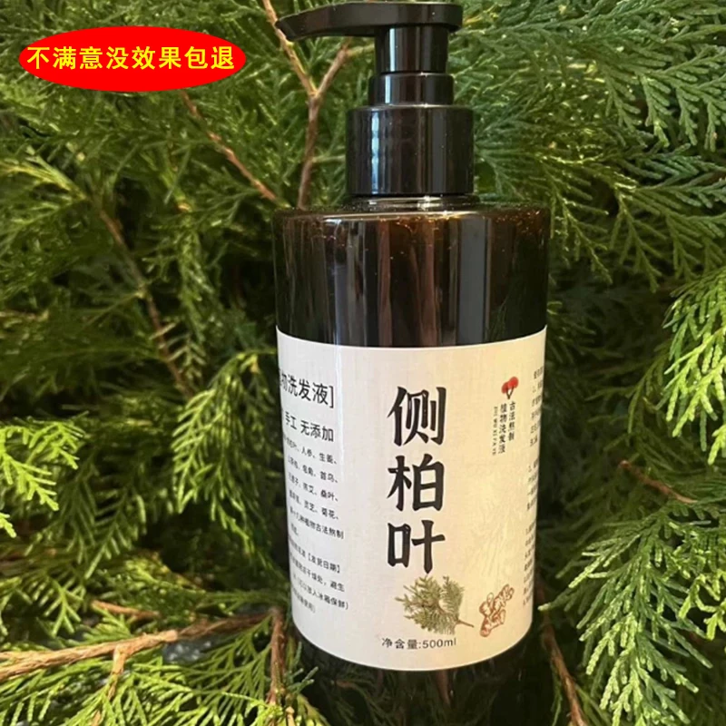 侧柏叶洗发露纯天然中药洗发水正品何首乌皂角植物养发草本生姜