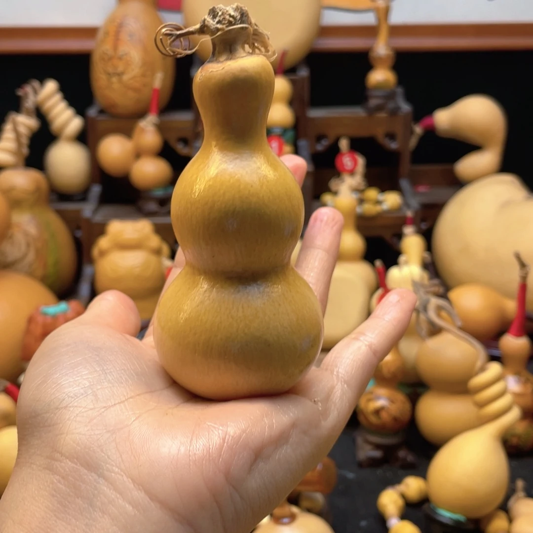 *️*大自然的秘密第十一节