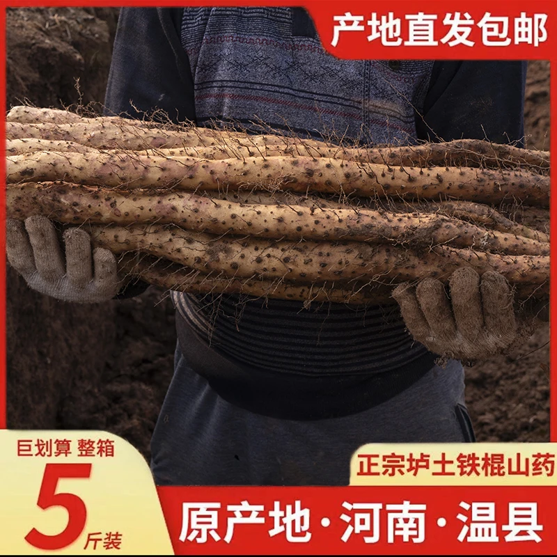 2025年新鲜现挖河南焦作温县垆土铁棍山药怀山药原产地顺丰发货