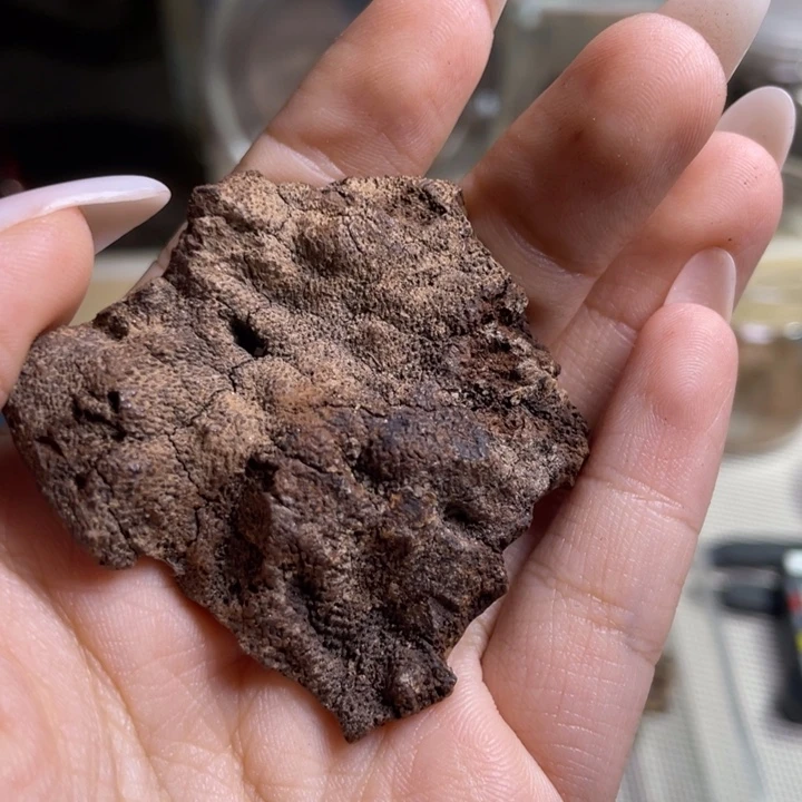 。***，沉香海南大山老料