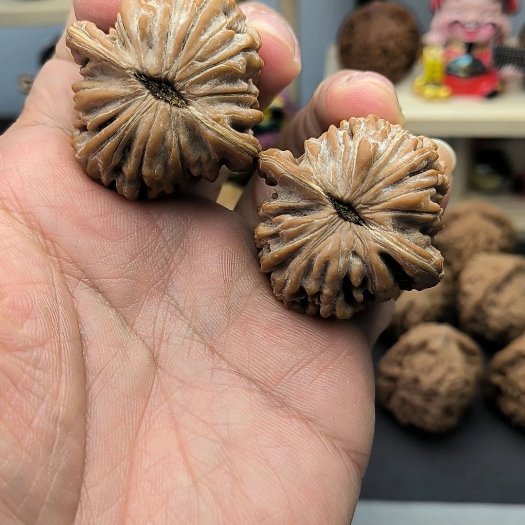 蹲***感文玩核桃福利不退不换