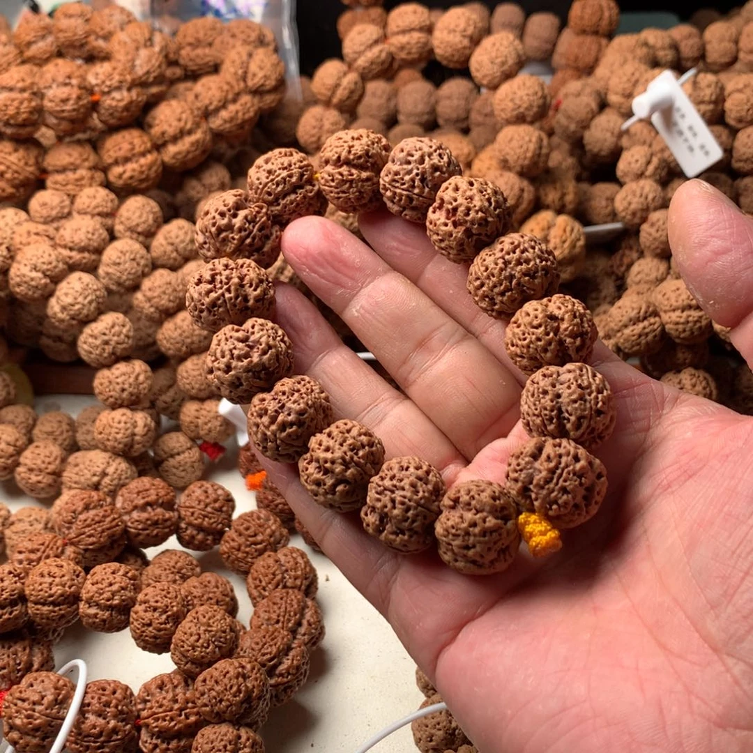****孔金刚菩提手串20龙牙福利款
