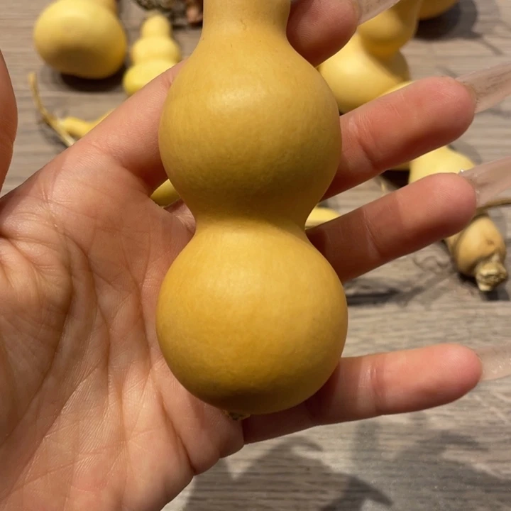 今*缘葫芦葫芦葫芦葫芦