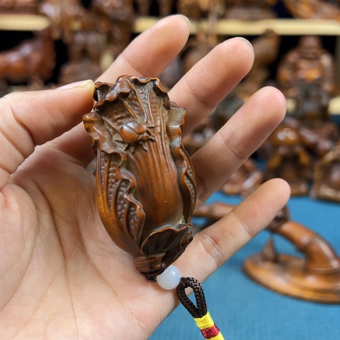 黄杨木小叶黄杨木