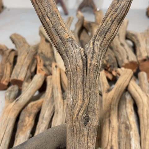 大果紫檀（缅甸花梨）@***程