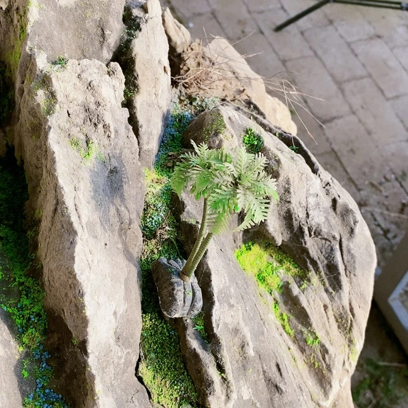 【闪购商品】用****81111