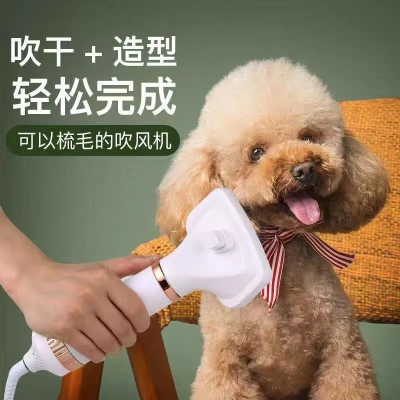 宠物吹风机冷热风