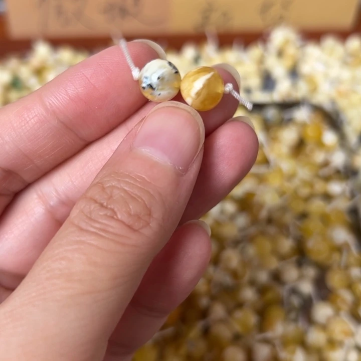 蜜蜡未镶嵌裸石8.8mm一对