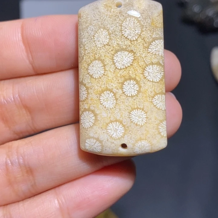 【闪购商品】未镶嵌珊瑚玉硅化玉