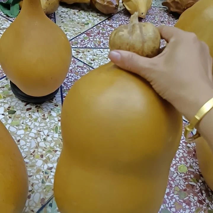 靳***诚木葫芦！！！！！！！！！！！