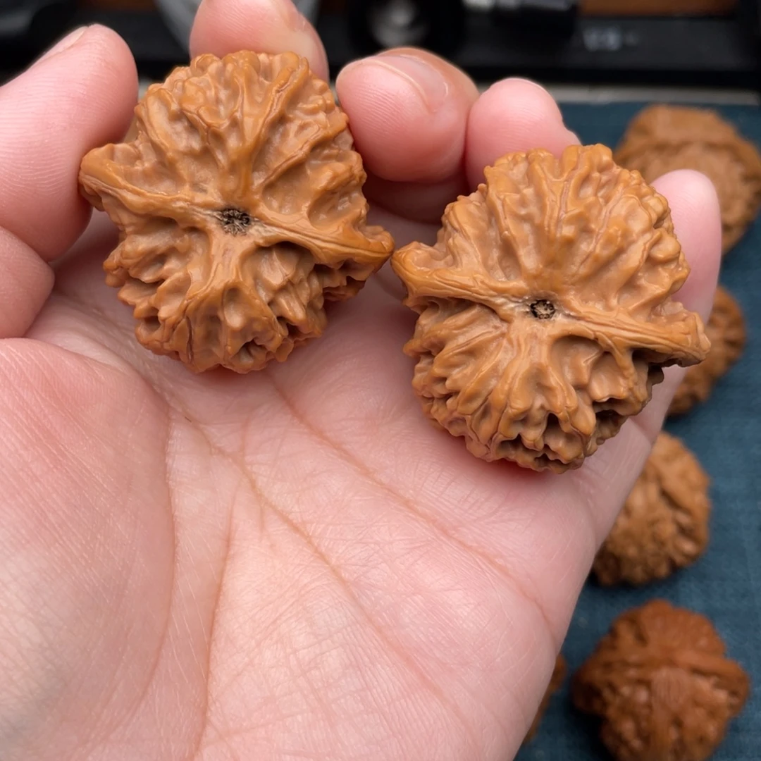 文玩核桃把件苹果园3939393