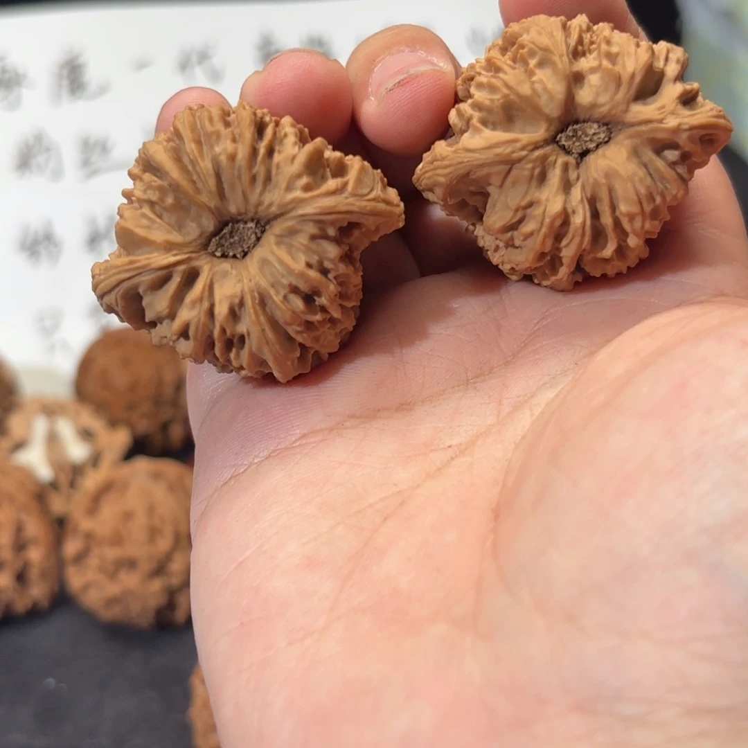 司***一核桃 涿鹿南疆涿鹿