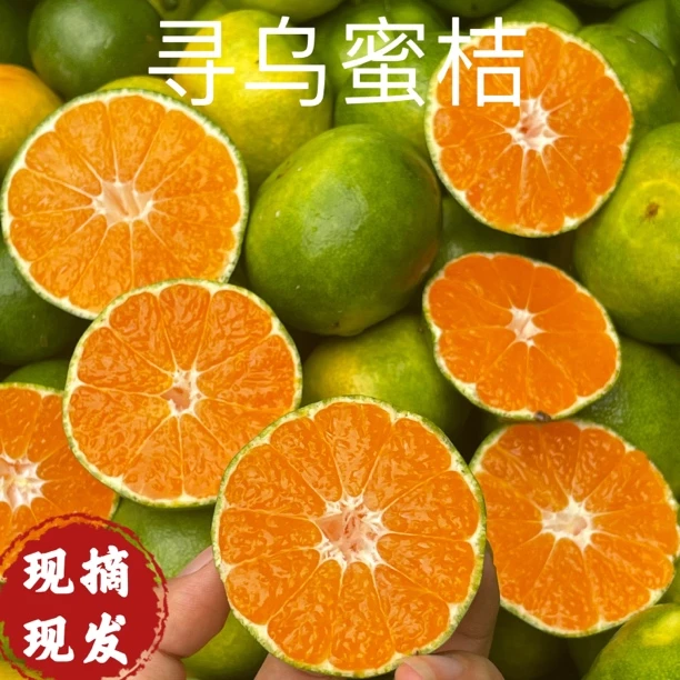 江西寻乌蜜桔青皮新鲜应季皮薄无籽桔子孕妇水果酸甜多汁产地包邮