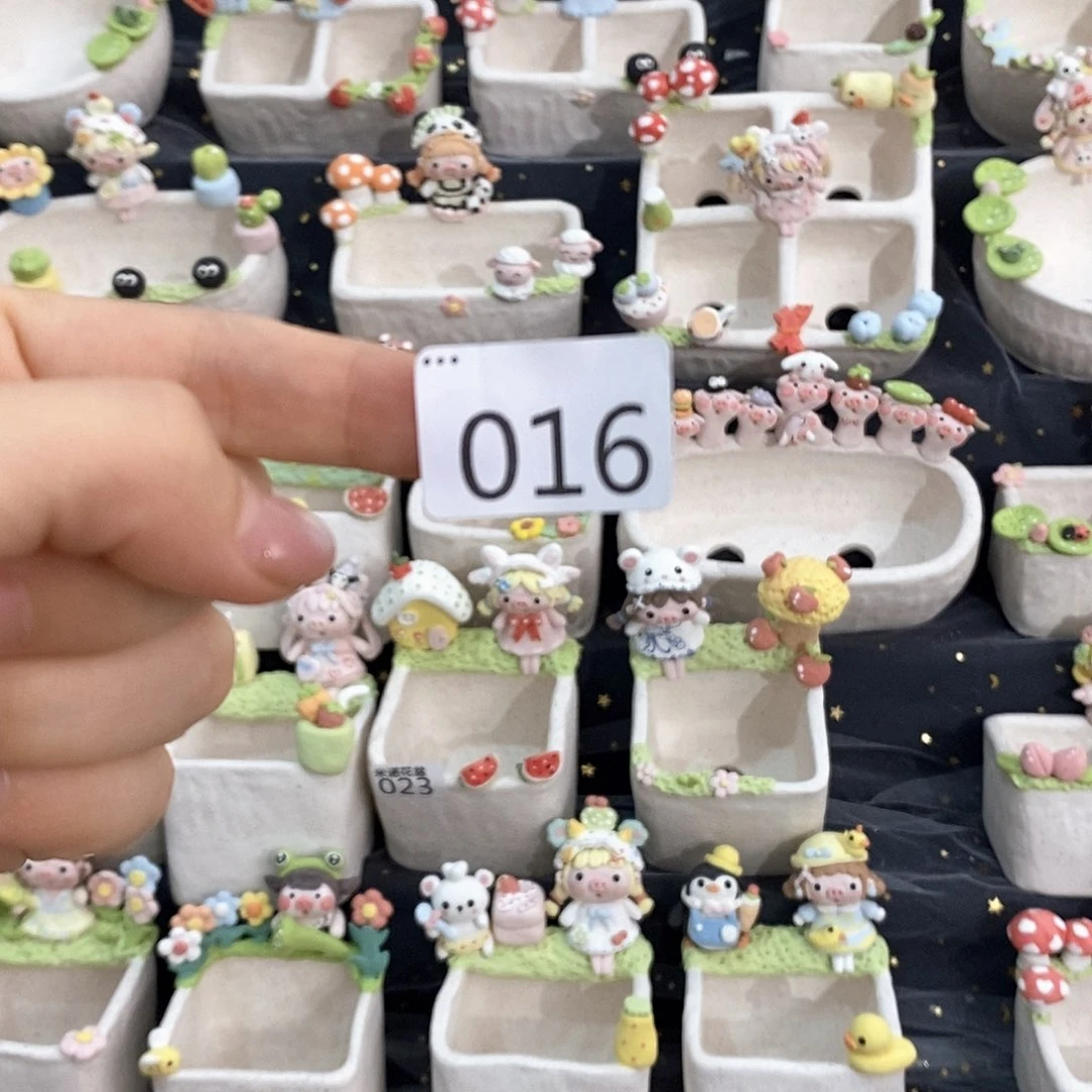 米诺多肉植物花盆016