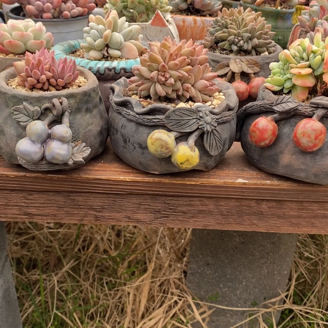 ?***忌醉泥花盆多肉植物