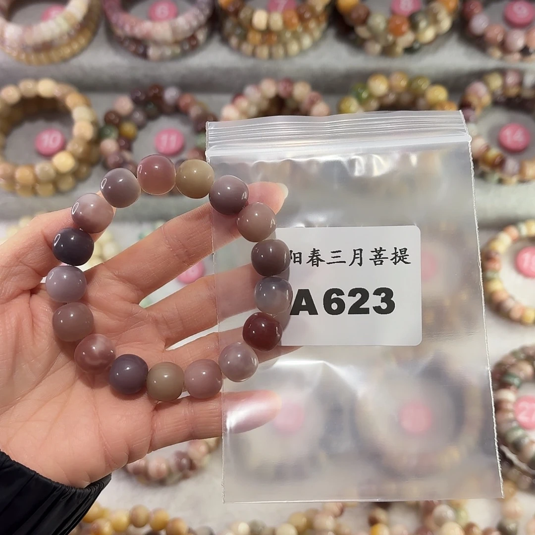 T***n菩提根/象牙果吊坠