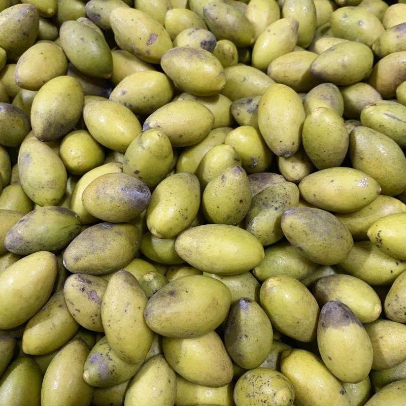 新鲜现摘花皮黄皮橄榄潮汕特产青橄榄青果水果农家生橄榄鲜橄榄果
