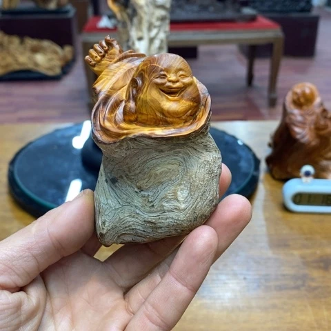 柏木（崖柏）太行崖柏