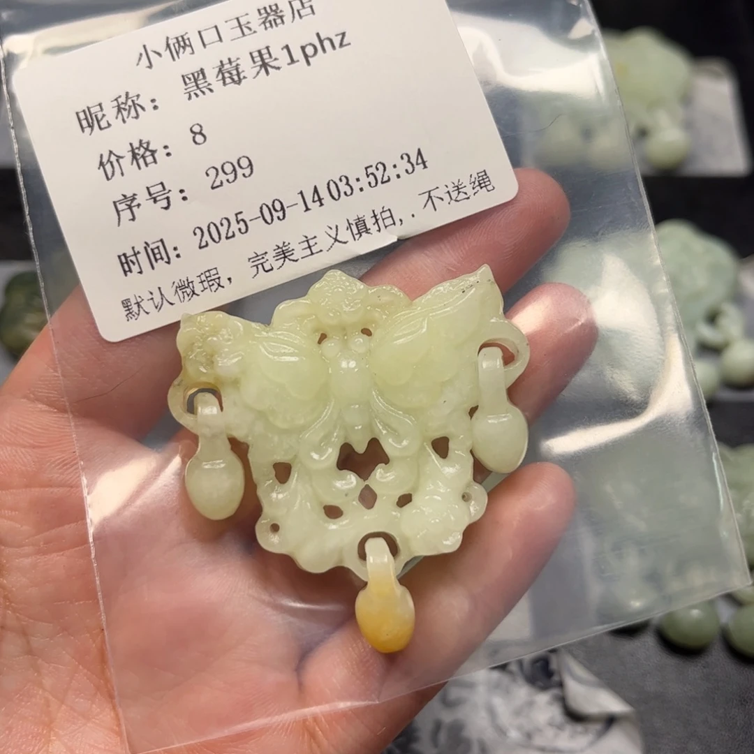 黑***z未镶嵌蛇纹石玉颈饰