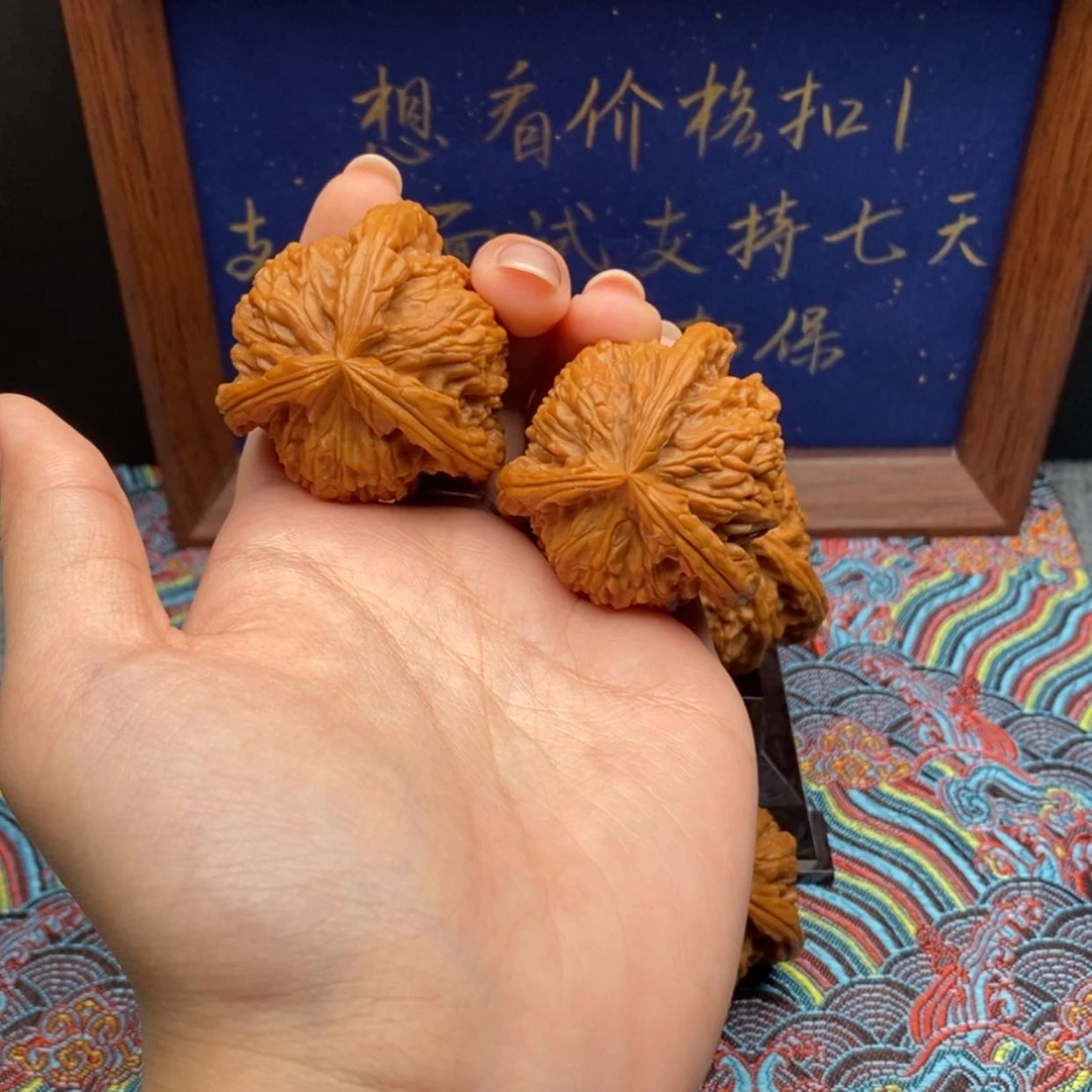 【闪购商品】吃****灰白狮