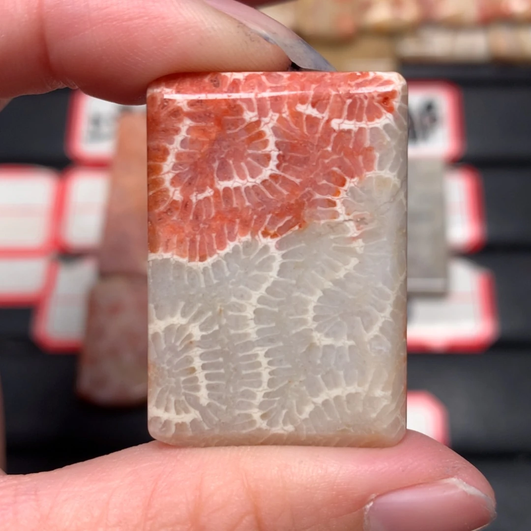 【闪购商品】未镶嵌颈饰硅化玉孤**影