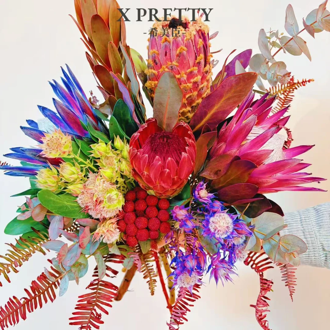 【花团锦簇】南非进口帝王花 鲜花 高档鲜切花 可做干花