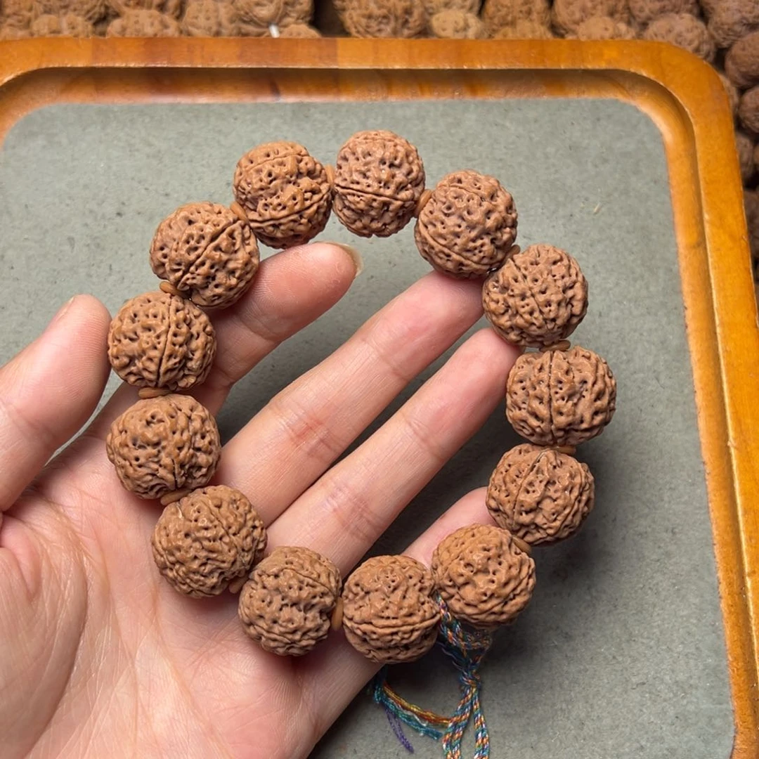 菩提1号金刚菩提满肉梅花21