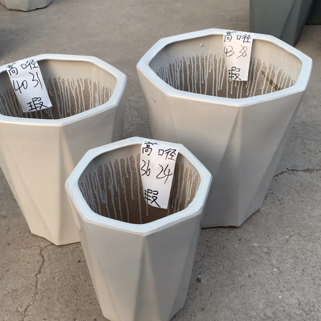 花盆里的小猫咪们都好可爱