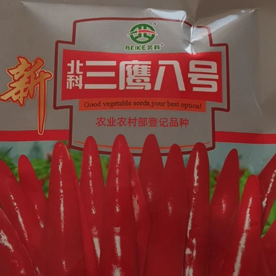 中国大陆北科种业，柘城辣椒大市场
