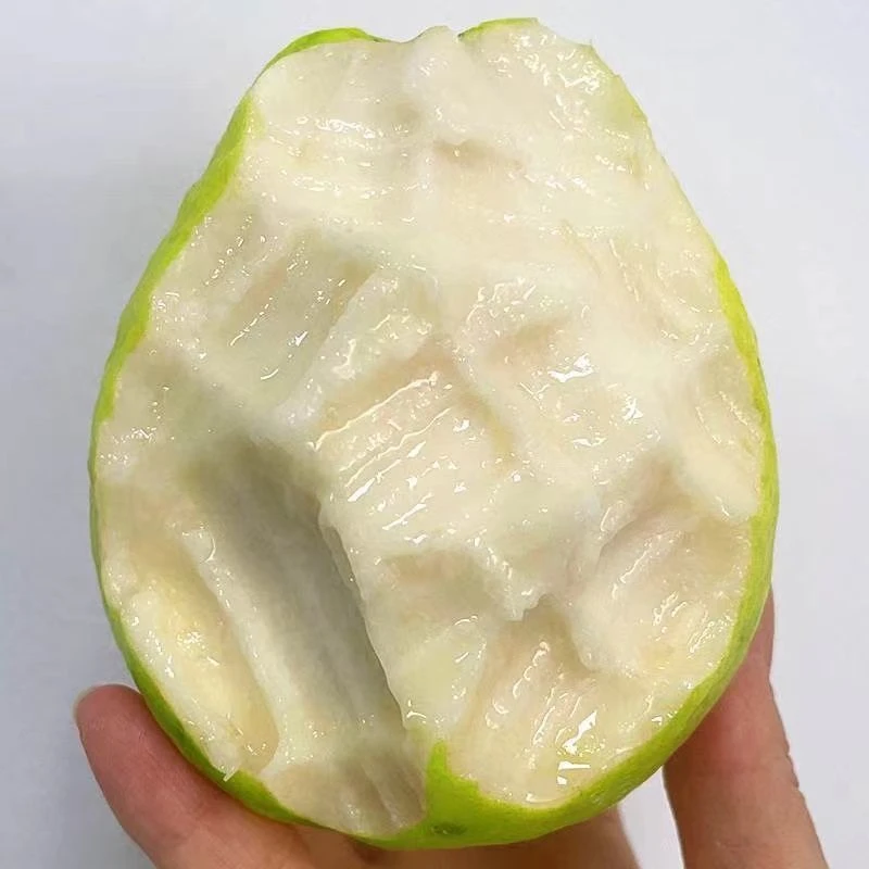 【新疆仓】 树上熟 奶油芭乐