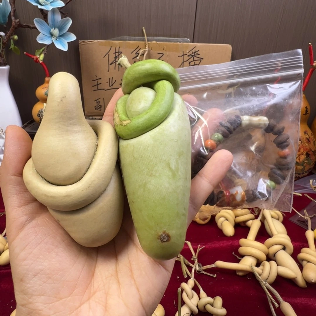 用****8懂了吗我的天啊我的天我