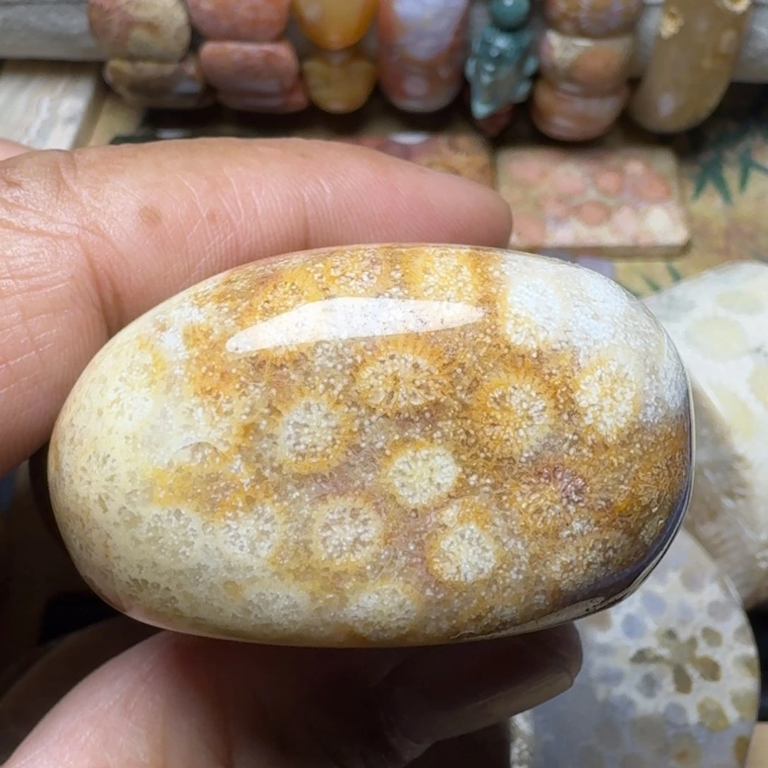 硅化玉纯天然色有机玉石保真色未镶嵌妮*