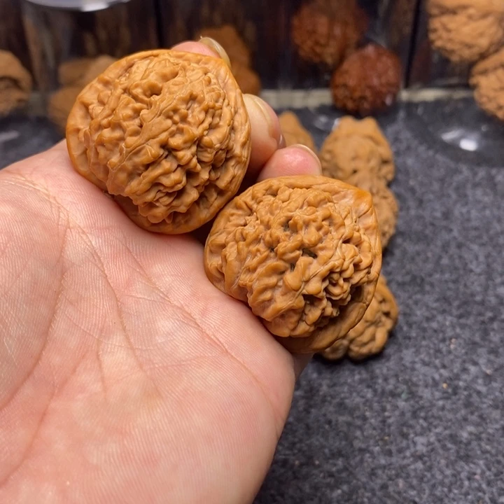 文玩核桃吊坠41蚂蚁王