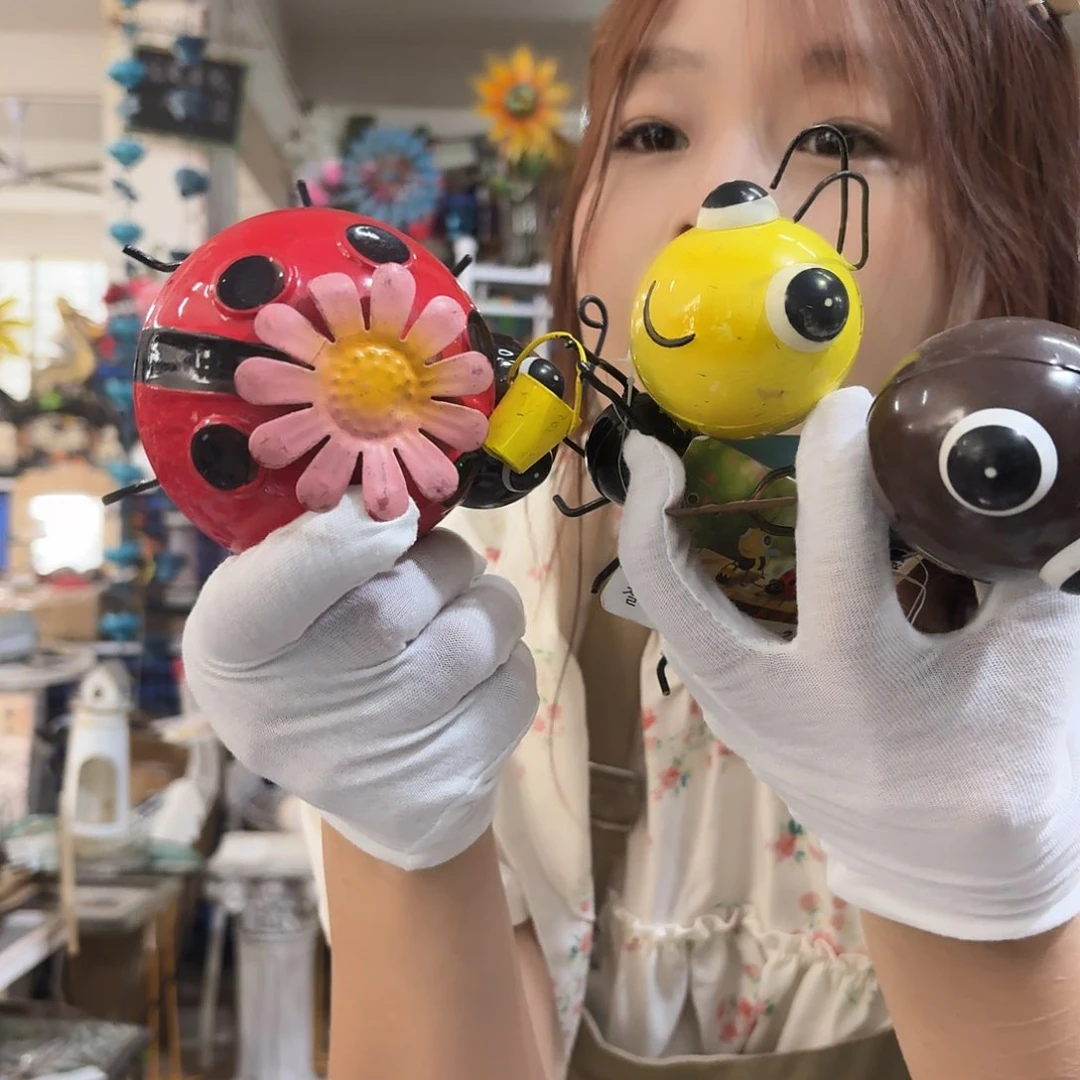 核桃木/黑胡桃（胡桃木）