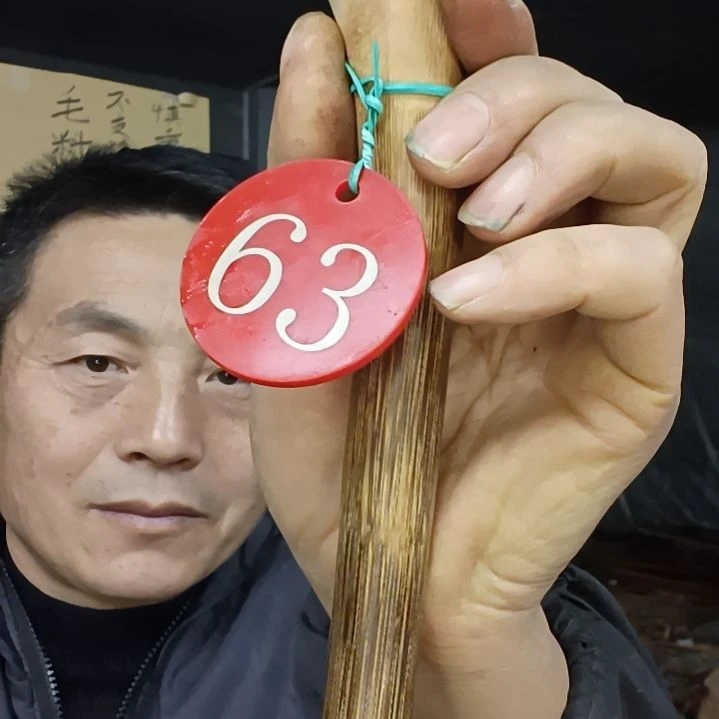 稳定木用****1贵州檬子木   铁马鞭   根艺  半成品