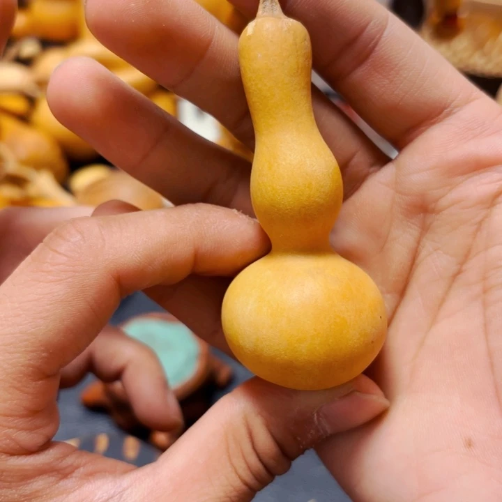 伊*88888888888888888