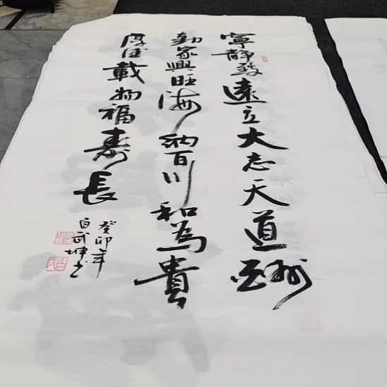 翰墨白武坤老师老师作品