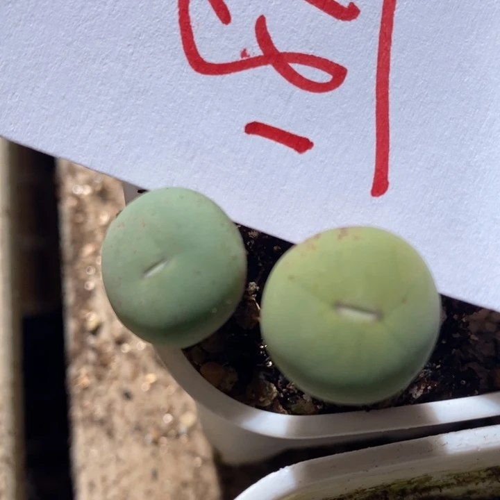 18112一组一组一组